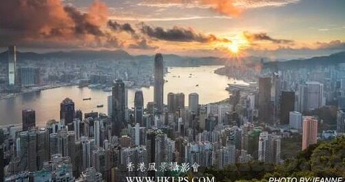 九游助手下载官方-九游助手，官方下载与一站式游戏服务体验