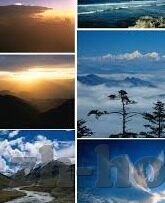 炸金花微信房卡-炸金花微信房卡，解锁娱乐新体验