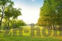 正规的威尼斯人网站-正规威尼斯人网站的魅力与体验